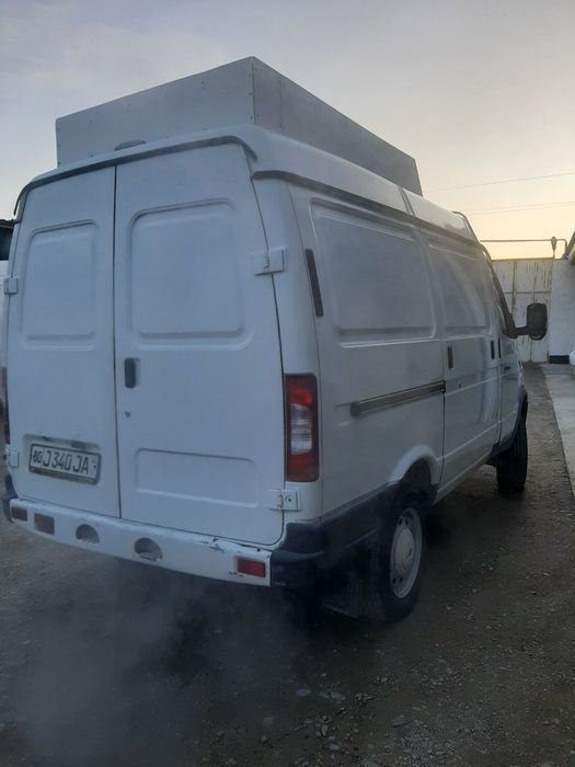 Gazel cobal gurzavoy