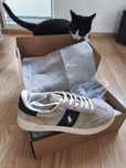 Polo Ralph Lauren sneakers