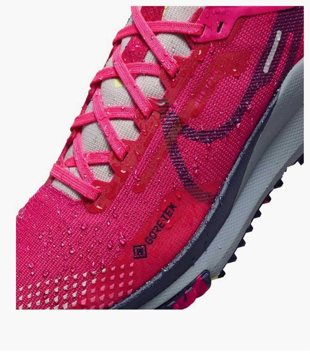 Nike pegasus trail 4 GTX