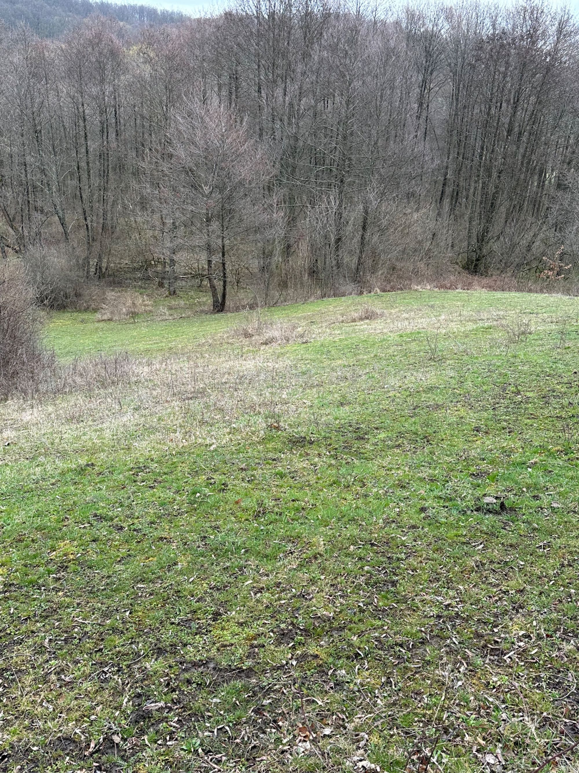 Vând teren extravilan în localitatea Dragesti, Bihor. 2000mp