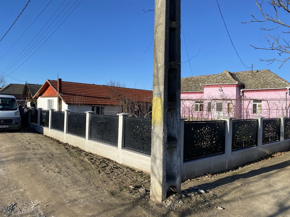 Porti model Copac oriunde in Romania!