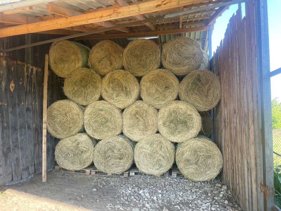 Vind baloți de lucernă foarte bună calitate