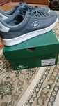 Lacoste 42 размер оригинал