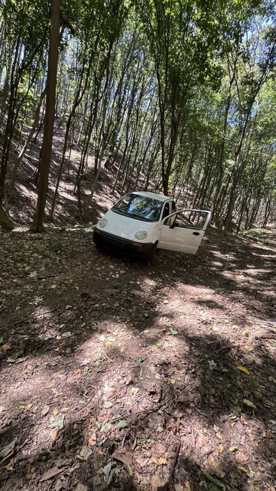 Vand matiz pentru camp