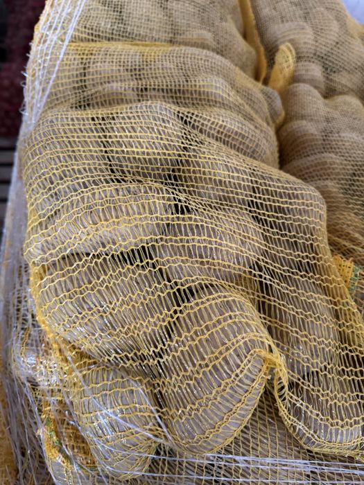 Cartofi olandezi calitate premium