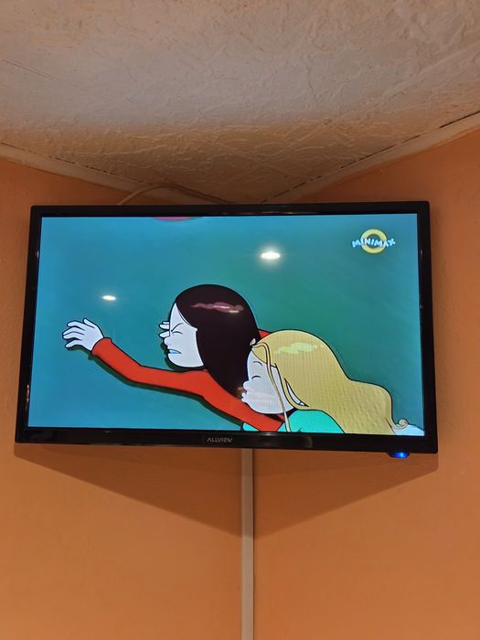 Vand televizor Allview 24inch