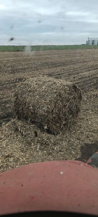 Baloți tulei de 120 pe 120