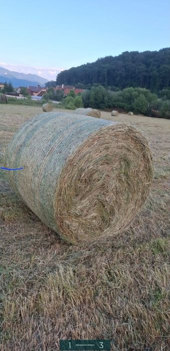 Baloti de fan si lucerna duc la comandă în cantitate mare