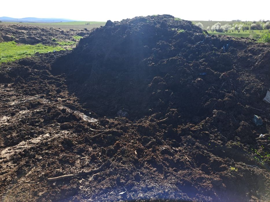 Gunoi de grajd putred