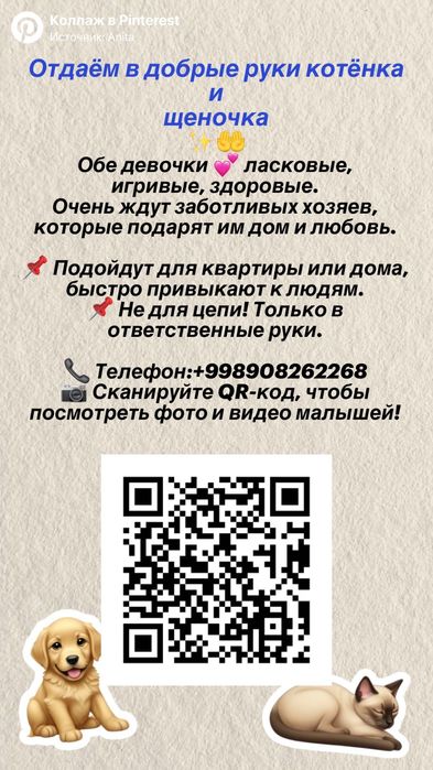 Отдам в хорошие, заботливые руки!!!