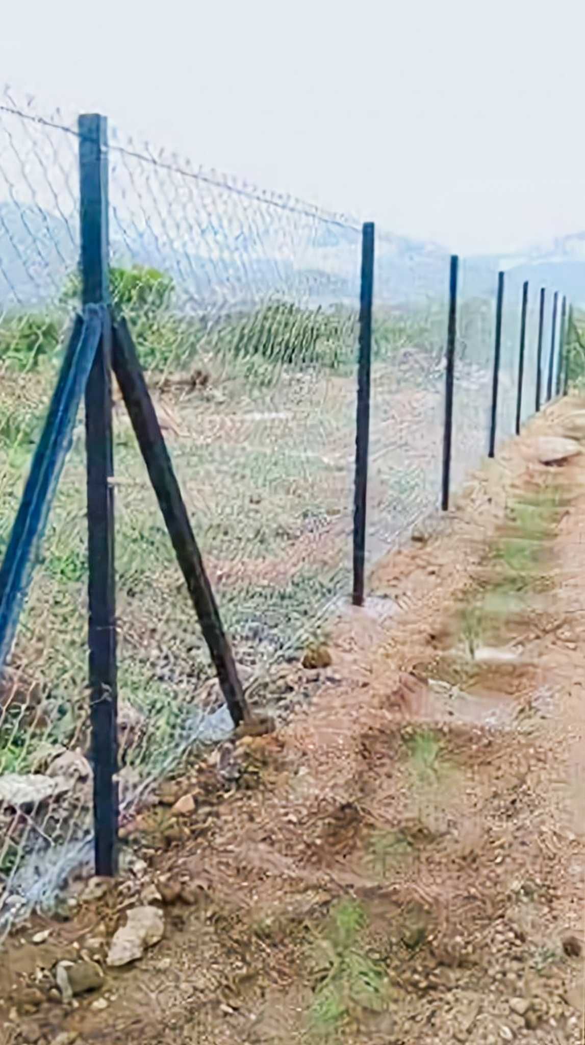 Ограда с циментови колове,метален профил и поцинкована оградна мрежа