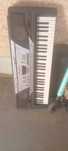 Orga electronică