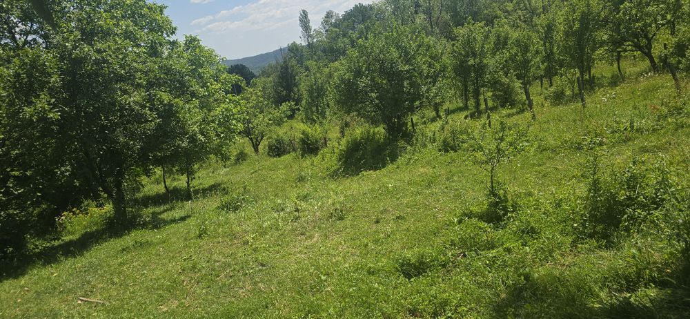Vand/schimb garsoniera Ploiești  teren Sotrile 2237mp.