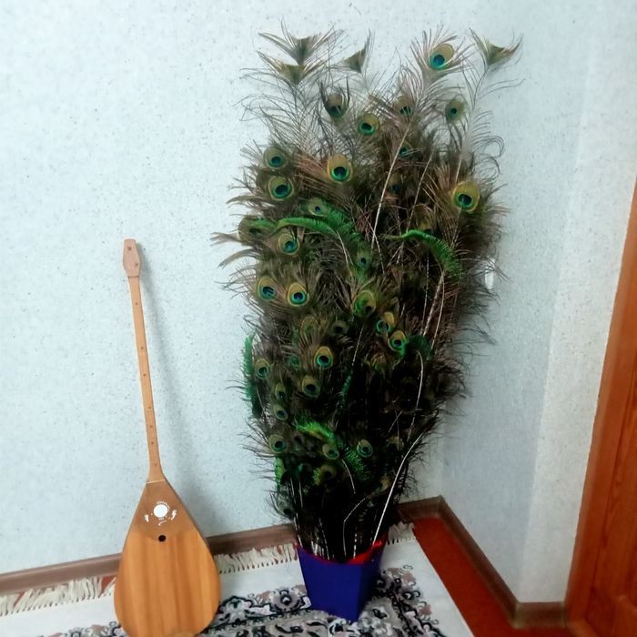 Продаётся перья павлина