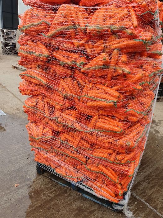 Vand morcovi spalati si nespalati