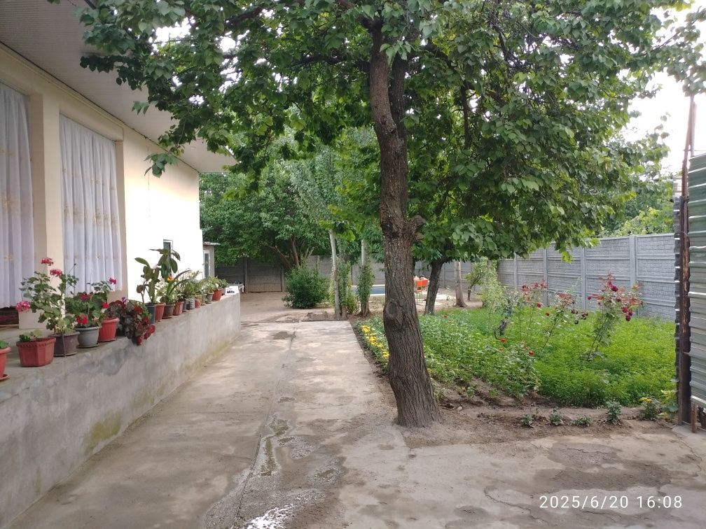 Oqtosh dacha oila uchun