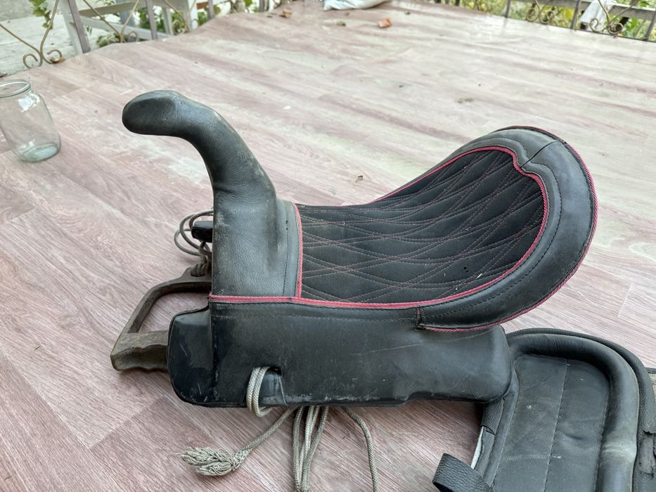 Асау ер сатылады