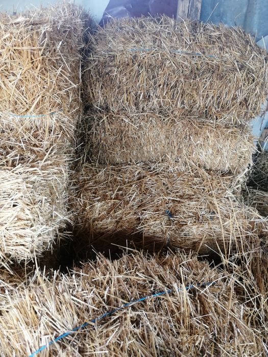 Vând baloti de paie și fân!
