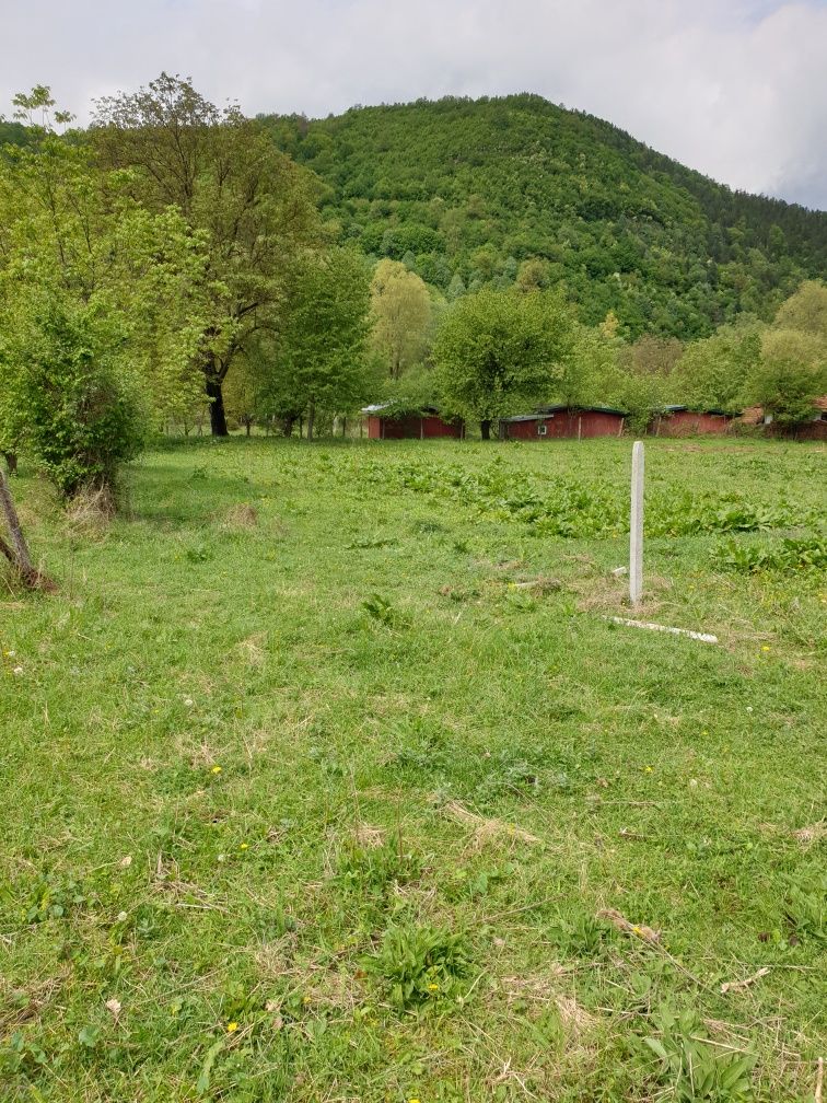 Продава се Парцел в с. Черни Осъм, Област Ловеч - 1537 кв.м за 9 €/кв.м - Снимка #2