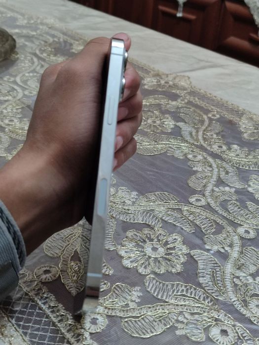 Iphone 13 pro max ideal