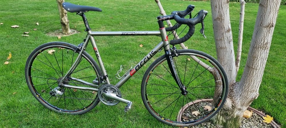 Cursiera FERRUS titan