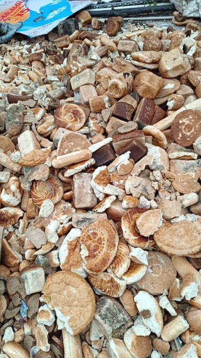 Кепкен нан бар Шымкентте