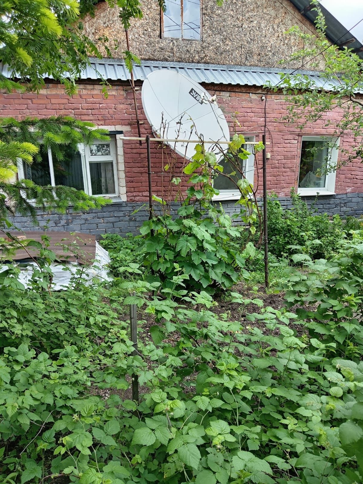 Продам дом в Меновном