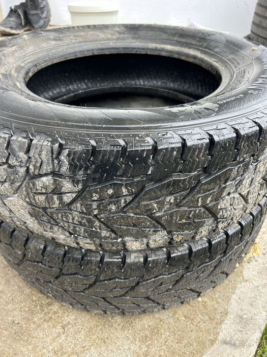 215 75 16 C iarna dot 2024