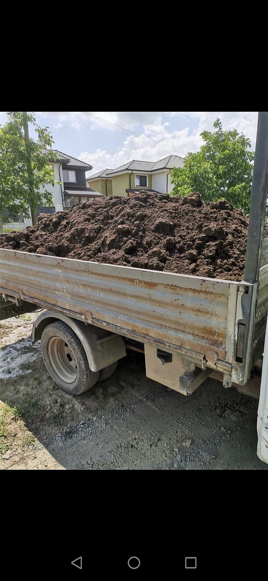 Pamant galben nisipos si pamant negru vegetal