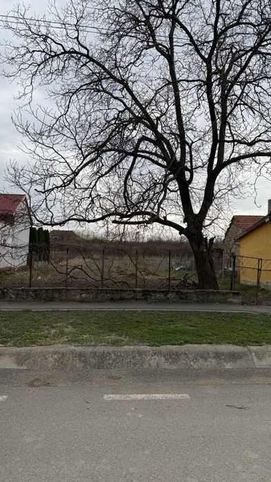 Teren Intravilan