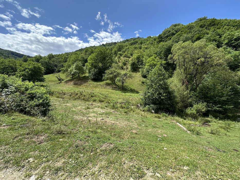 Vand 8534 mp teren in Rasinari Valea Stezii  (Valea Strambului)