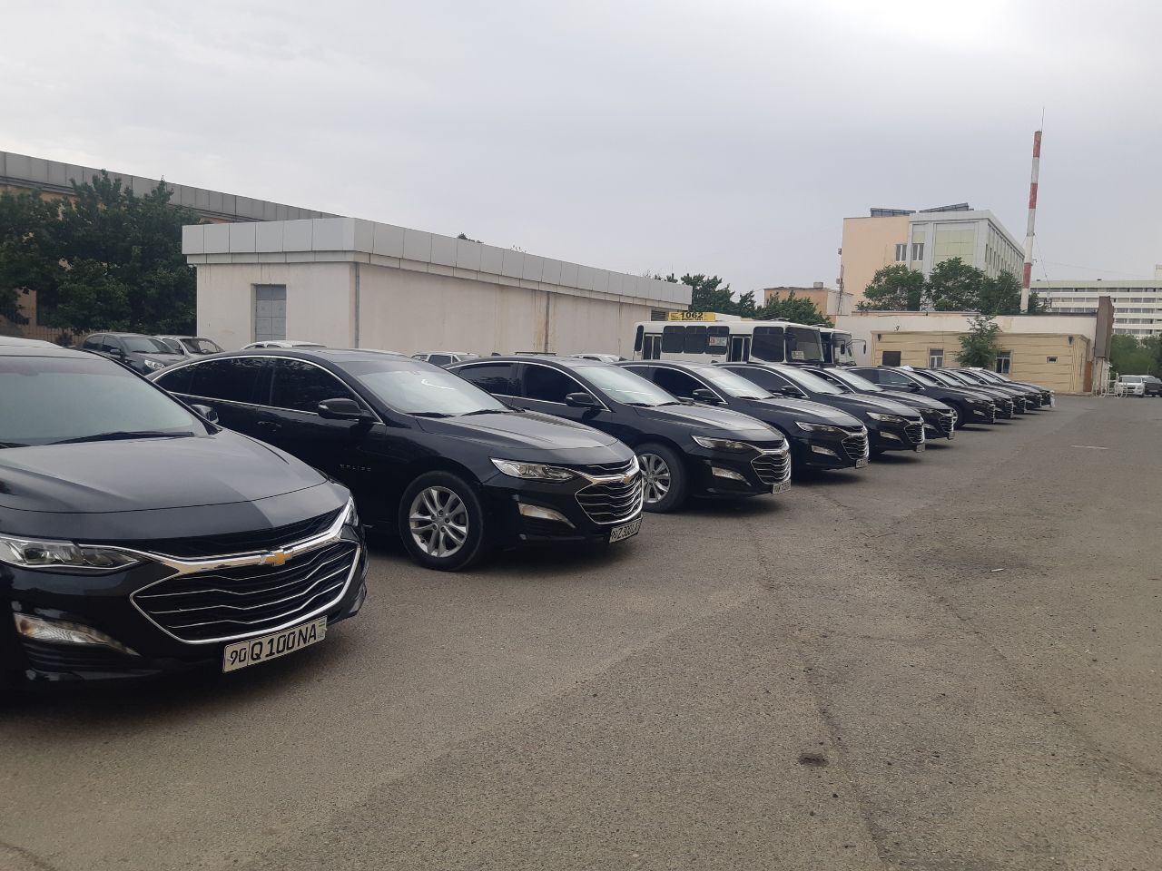 Arzon narxda Malibu  Kartej xizmati. Xorazm Toy va marosimlari uchun