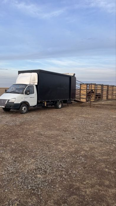 Скотовоз барлык багытка 6 метр газель