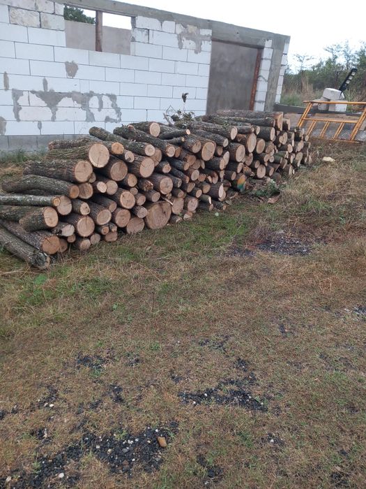 Lemne de foc, stejar