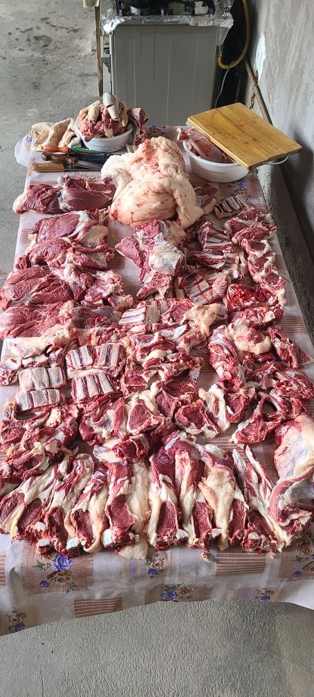 Qassob serviz. Qo'y va qassob xizmatlari. Овцы и мясная услуга.