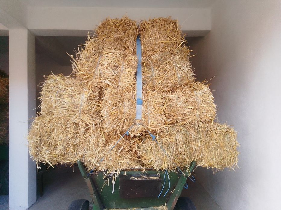 Vând baloți de paie