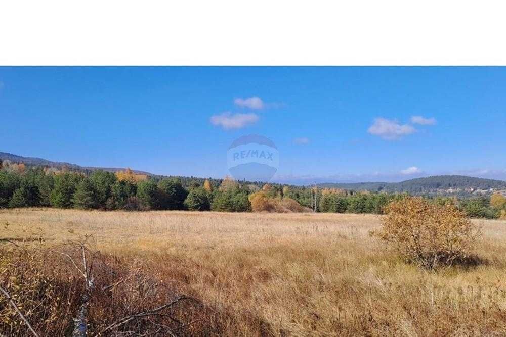 Продава се Парцел в Батак - 9309 кв.м за 2296 €/кв.м - Снимка #20