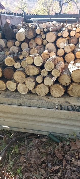 Agregate de balastiera (nisip pietrișsi lemn de foc)transport