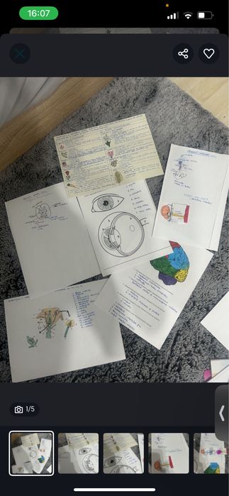 Notite la biologie