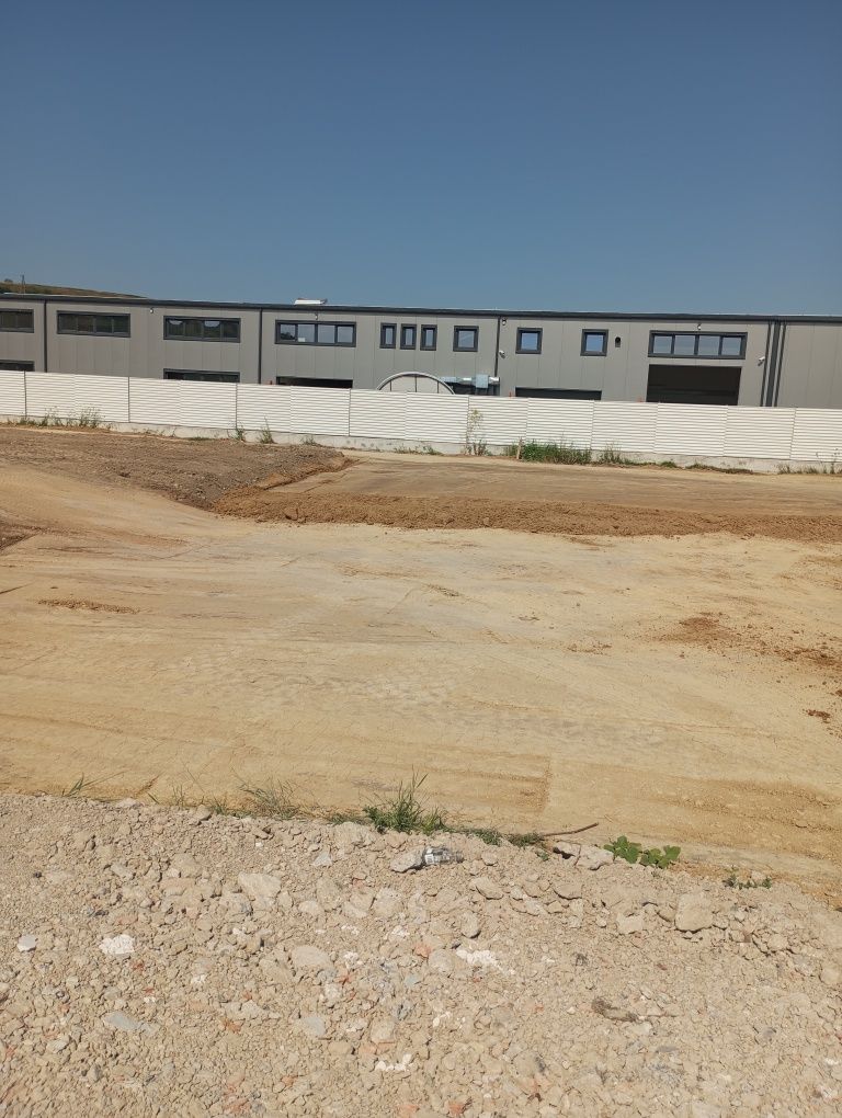 Pamint galben pentru perna (umplutura)