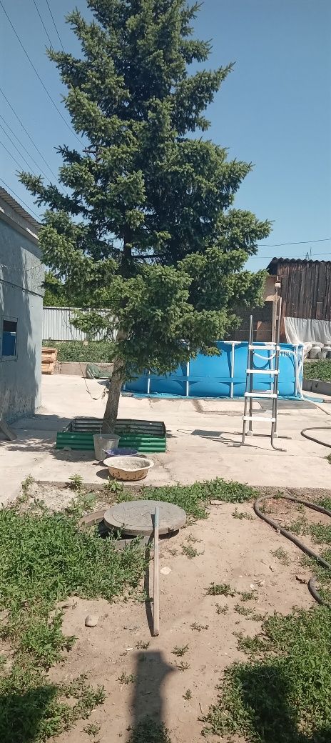 Продам дом на земле