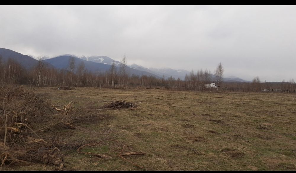 Vând teren - Valea Avrigului