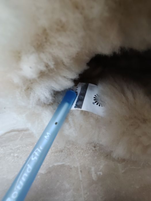 UGG Mini Bailey Button II 37 originale