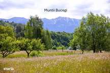 Teren intravilan - 1.050 mp în Bran – priveliște Bucegi, zonă retrasă