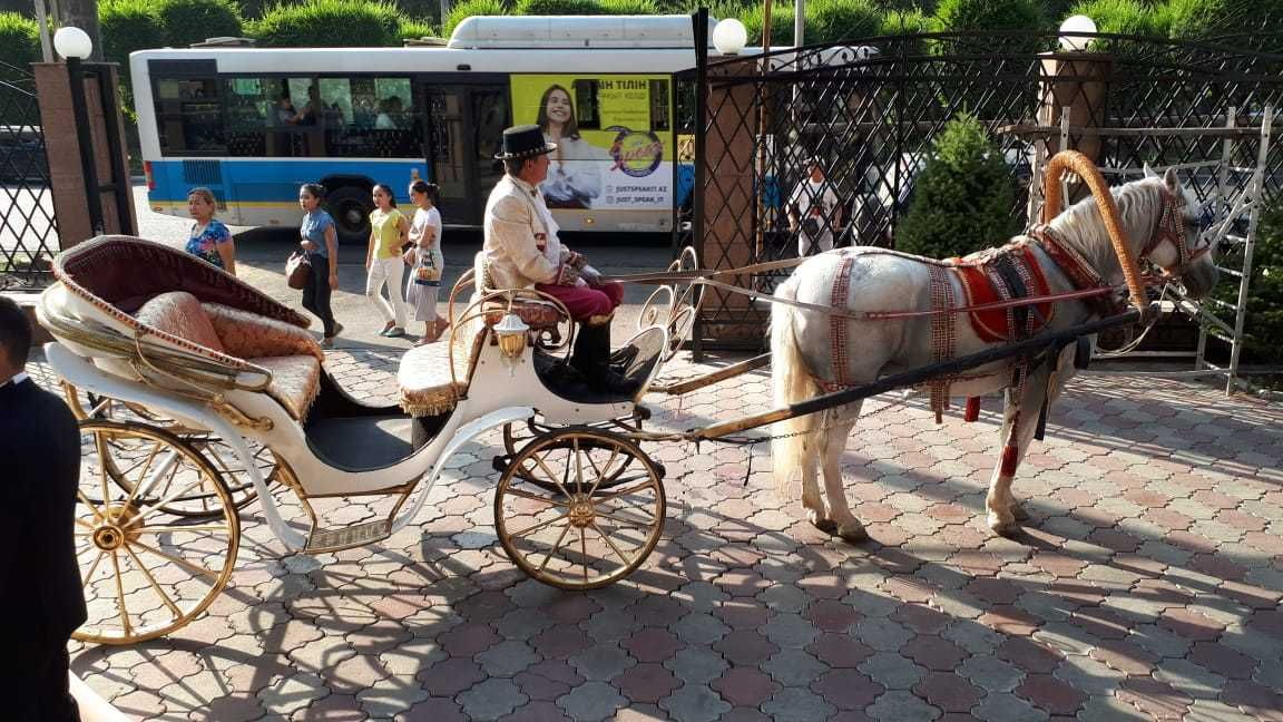 карета, трон, кони, пони