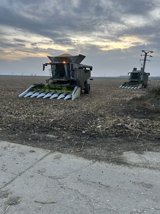 Prestari servicii agricole de recoltat,grau,floarea soarelui,porumb