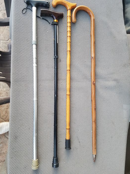 Baston, carje, carji lemn sau telescopice, bete treeking drumetieg