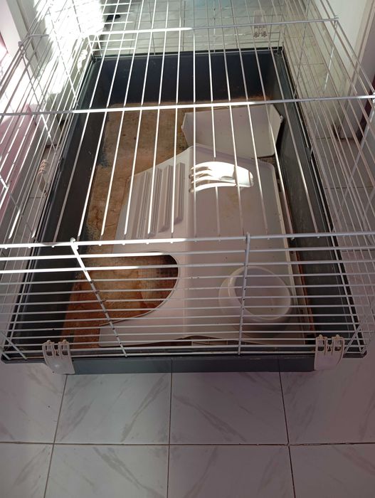 Клетки за гризачи