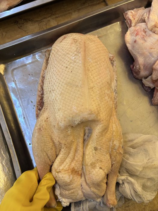 Гуси домашние свежый забой