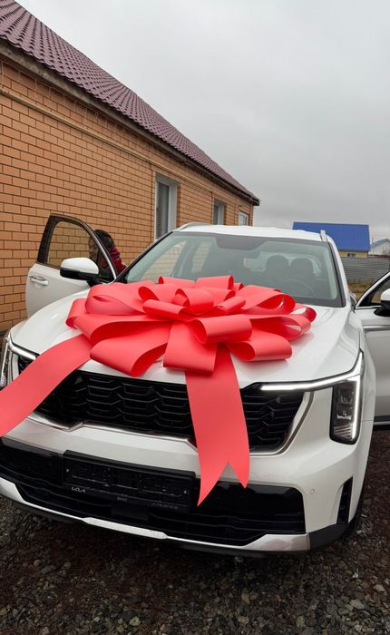 Продам огромный бант для автомобиля